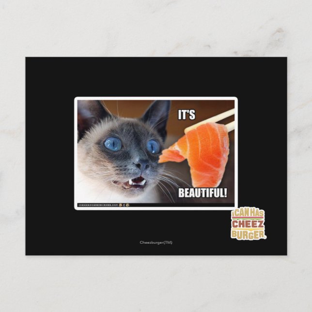 Cartão Postal É lindo! (Frente)