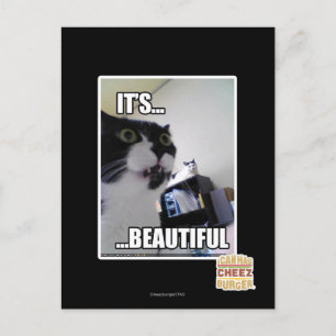 Cartão Postal É lindo