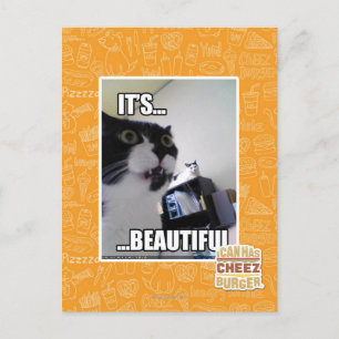 Cartão Postal É lindo