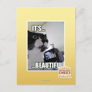 Cartão Postal É lindo