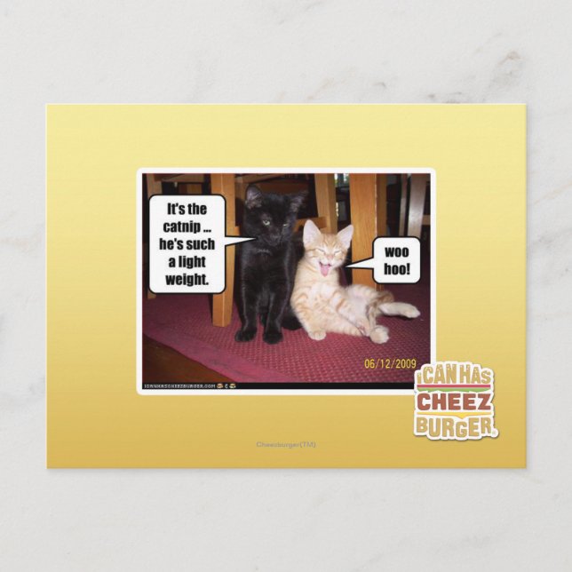 Cartão Postal É o catnip (Frente)
