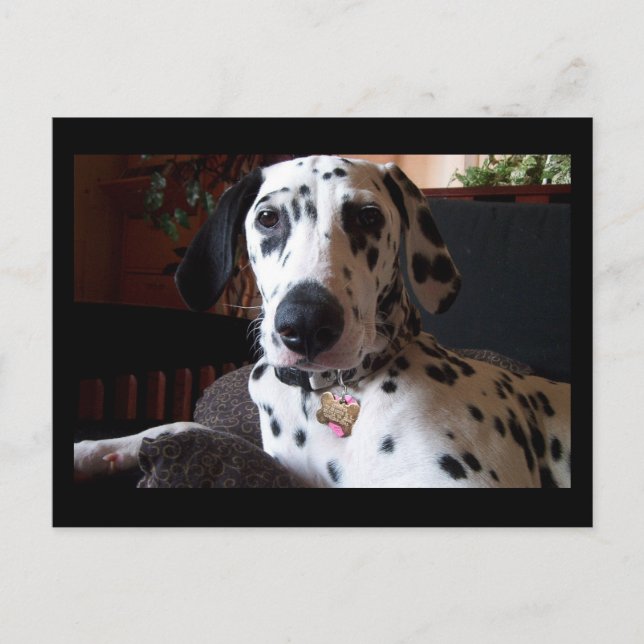 Cartão Postal E O Seu Ponto É? (Frente)