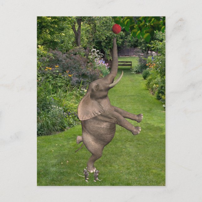 Cartão Postal É para isso que servem os amigos (Frente)