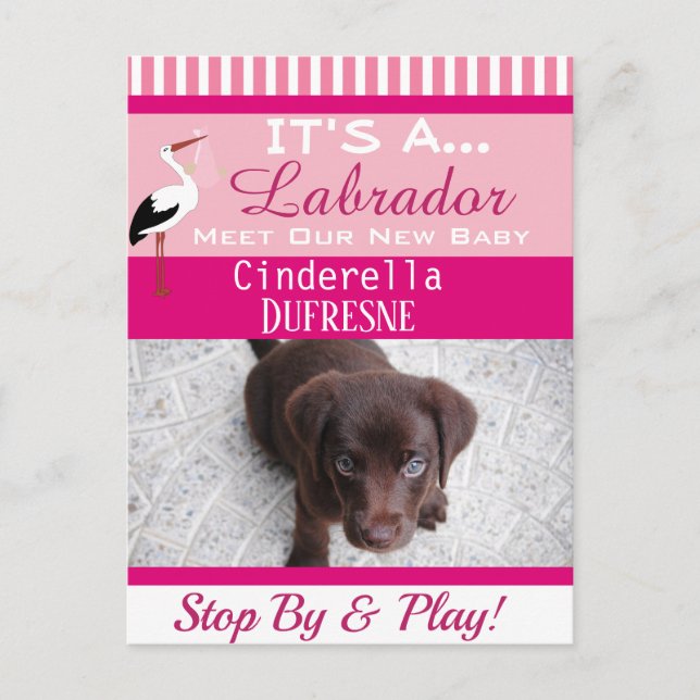 Cartão Postal É um anúncio de "Novo Pet" (Frente)