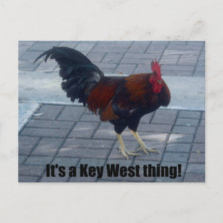 Cartão Postal É uma coisa do Key West!