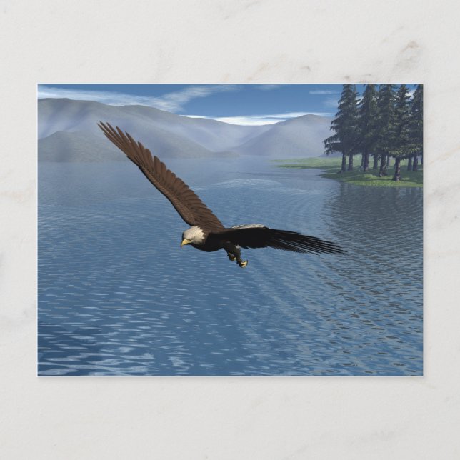 Cartão Postal Eagle (Frente)