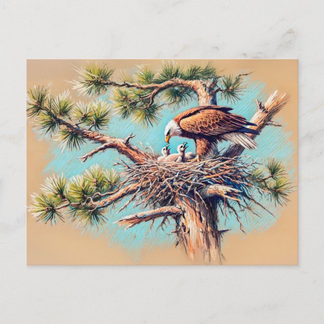 Cartão Postal Eagle Feeding Young in Nest on Pine Tree Pastel (Frente)