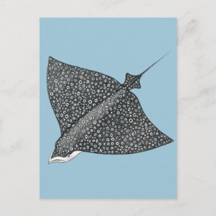 Cartão Postal Eagle Ray