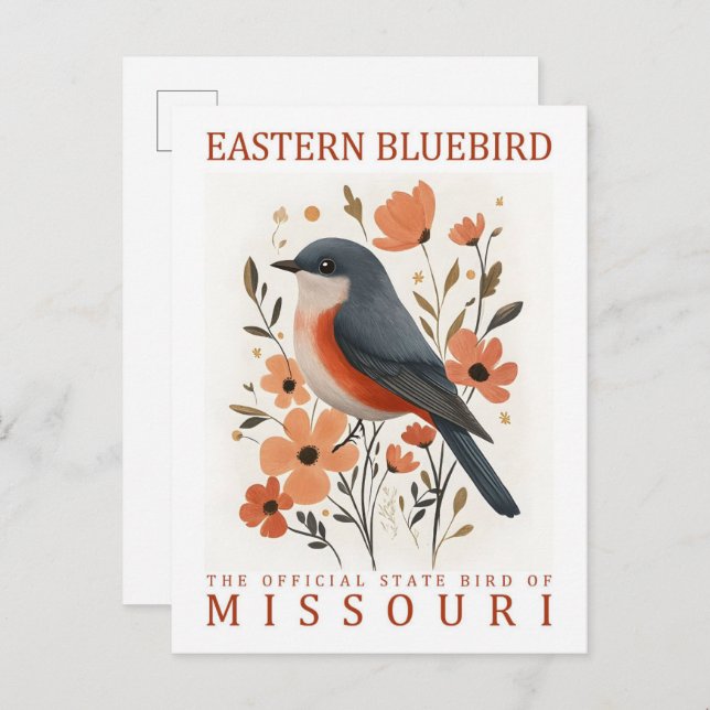 Cartão Postal East Bluebird Bird, Viagem do Missouri USA (Frente/Verso)