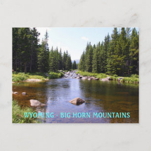 Cartão Postal East Fork Big Goose, WYOMING - GRANDE ARMA...