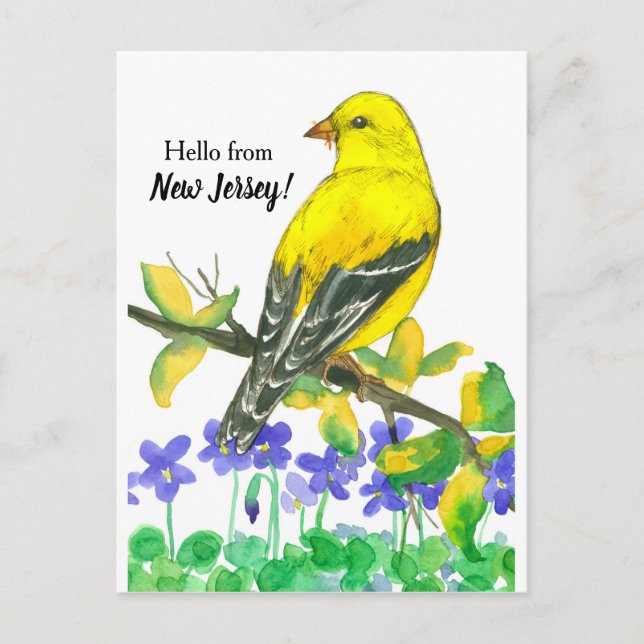 Cartão Postal East Goldfinch Bird Hello, De Nova Jersey (Frente)
