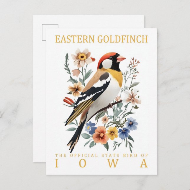 Cartão Postal East Goldfinch Bird, Viagem do Iowa USA (Frente/Verso)