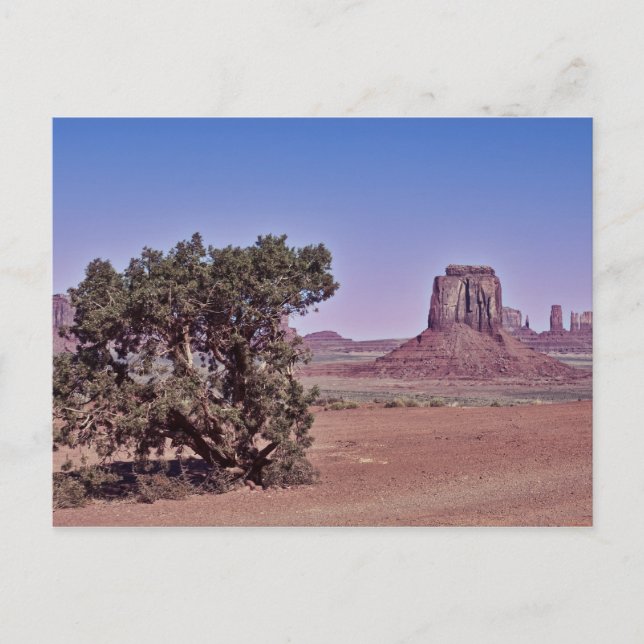 Cartão Postal East Mitten Bute (Frente)