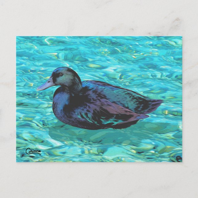 Cartão Postal Ebony Duck - Cartão-postal (Frente)