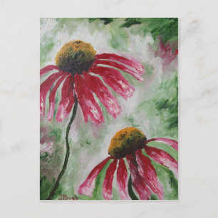 Cartão Postal Echinacea