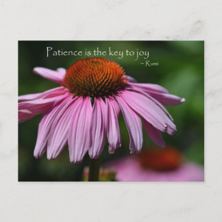 Cartão Postal Echinacea com citação de paciência