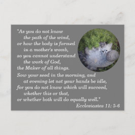 Cartão Postal Eclesiastes 11:6 Versículo Bíblico para Memorizar