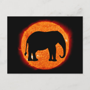 Cartão Postal Eclipse Solar de Elefante