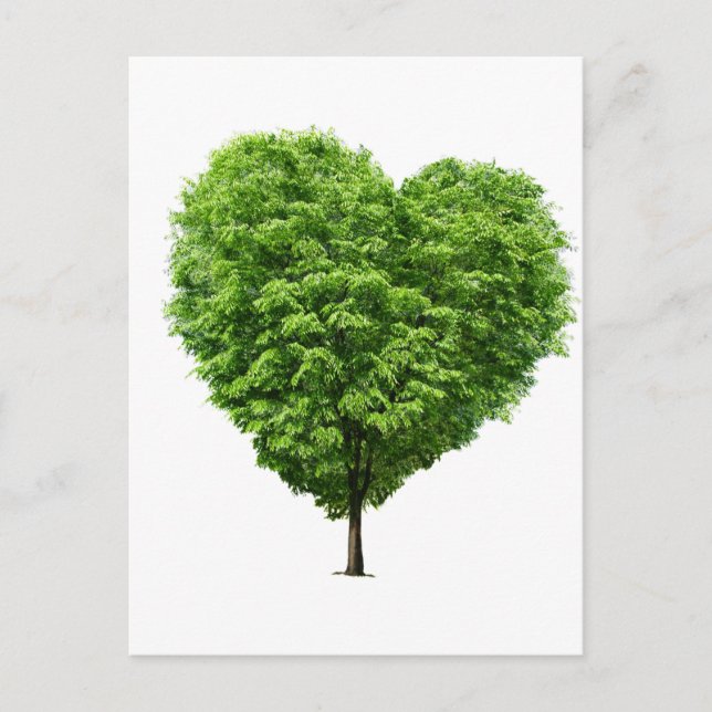 Cartão Postal ecologico (Frente)