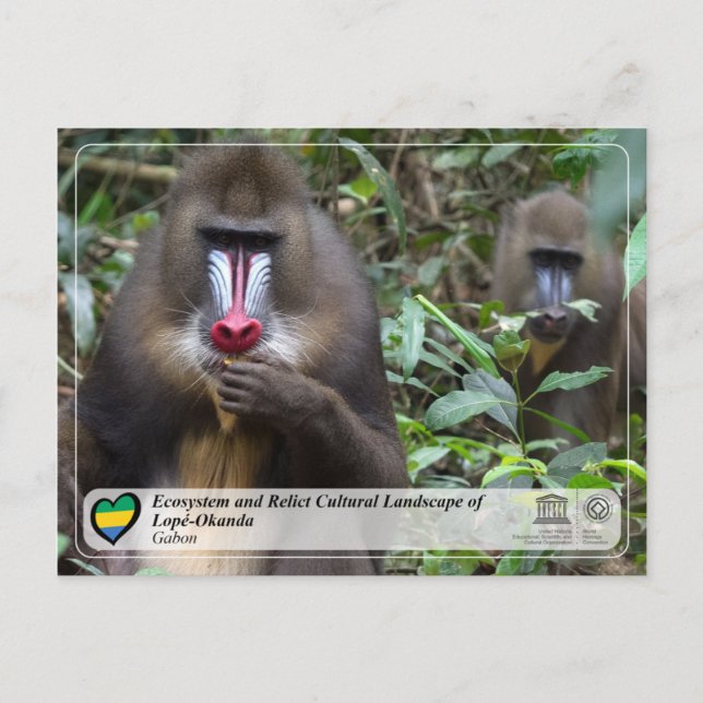 Cartão Postal Ecossistema e Paisagem Cultural de Lopé-Okanda (Frente)