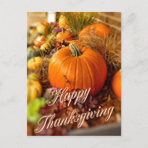Cartão Postal Ecrã de abóboras