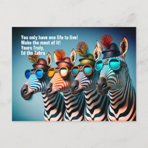Cartão Postal Ed the Zebra - Engraçado Faça a Mais da Vida