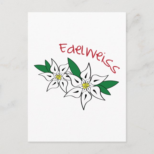 Cartão Postal Edelweiss (Frente)