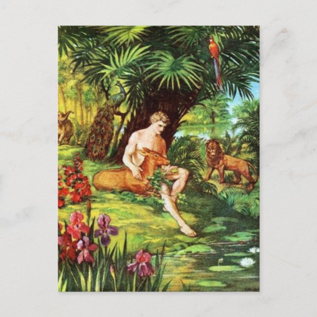 Cartão Postal Eden Adão No Jardim (Frente)