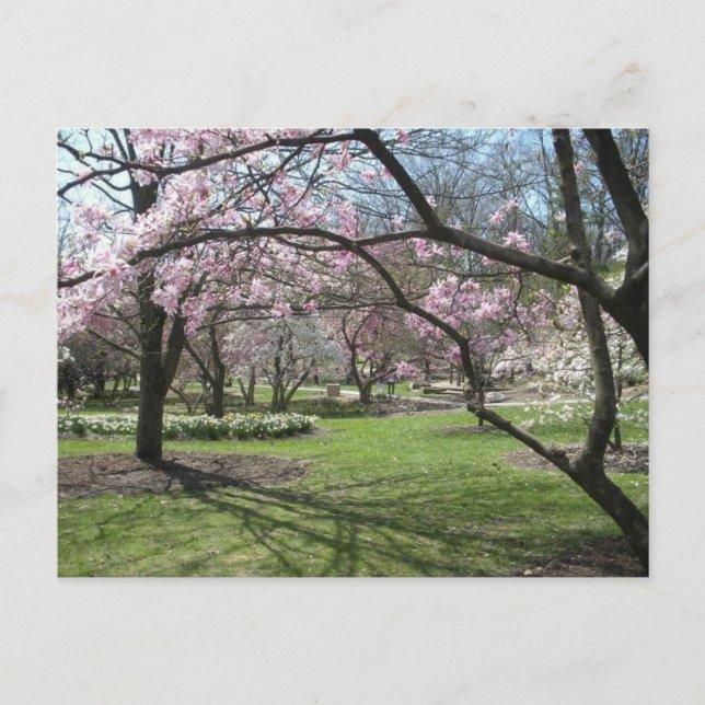 Cartão Postal Eden Park Cincinnati, Ohio, na Primavera (Frente)