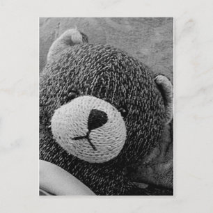 Cartão Postal Edgar Shadows, Ursinho doce!