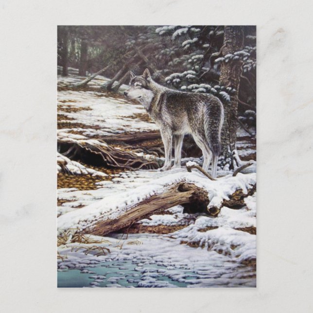 Cartão Postal Edge of Night Postcards (Frente)