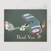 Edição de aniversário de avião de combate vintage