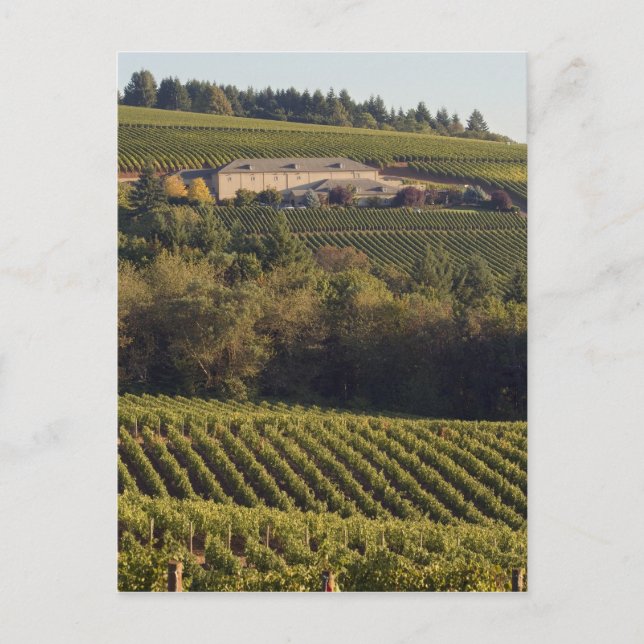 Cartão Postal Edifício bege do Archery Summit assenta-se no topo (Frente)