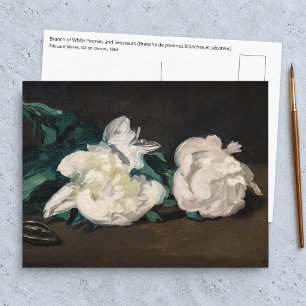 Cartão Postal Edouard Manet - Ramo de Peônias Brancas, Tesoura d