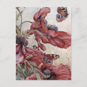 Cartão Postal Edward Julius Detmold Poppies E Borboletas
