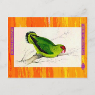 Cartão Postal Edward Lear. Abissiniano Parakeet.