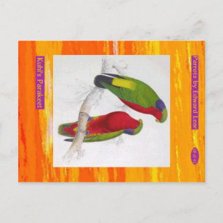 Cartão Postal Edward Lear. O periquito de Kuhl.