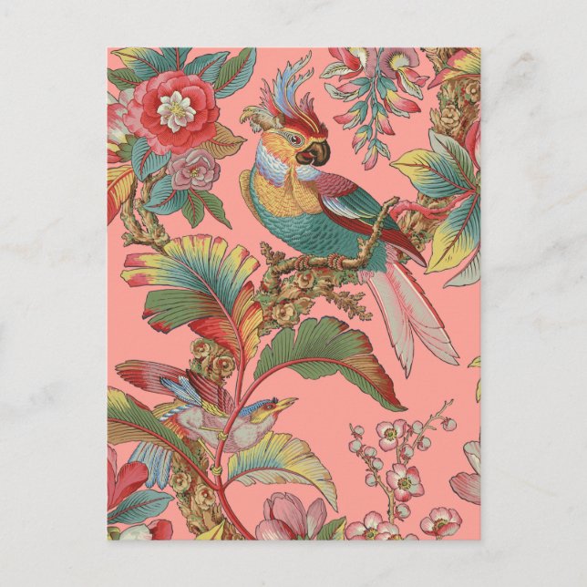 Cartão Postal Edwardian - Papagaio ~ Duquesa (Frente)
