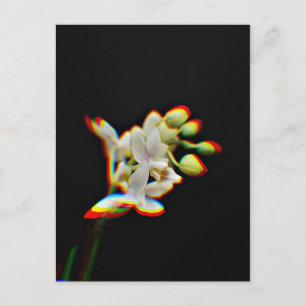 Cartão Postal Efeito de Brilho da Flor de Orquídea
