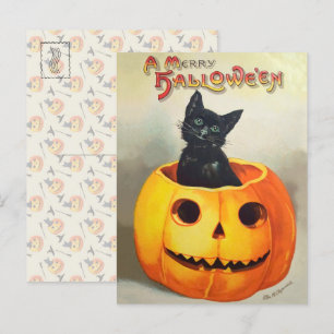 Cartão Postal Efêmero Ilustração Vintage de Halloween Gato Preto