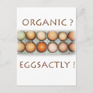 CARTÃO POSTAL EGGSÁTICO