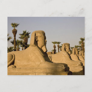 Cartão Postal Egito, Luxor. A Avenida das Esfinges leva a