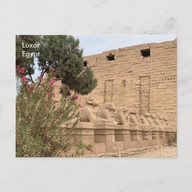 Cartão Postal Egito, Templo de Karnak, Luxor. (Frente)