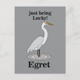 Cartão Postal Egret Lucky Bird