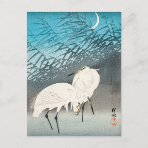 Cartão Postal Egrets and Reeds in Moonlight - Ohara Koson - Arte