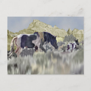 Cartão Postal Égua e Potro de Mustang Selvagem