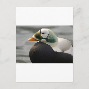 Cartão Postal Eider Espetacular