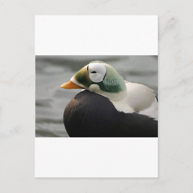 Cartão Postal Eider Espetacular (Frente)