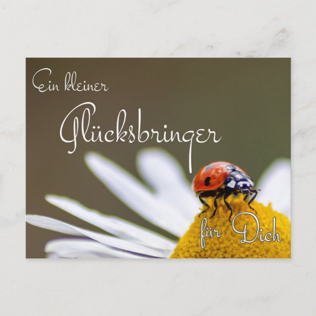 Cartão Postal Ein kleiner Glücksbringer für Dich mit Marienkäfer (Frente)