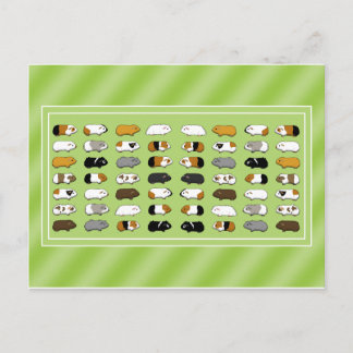 Cartão Postal Eine Postkarte mit Meerschweinchen